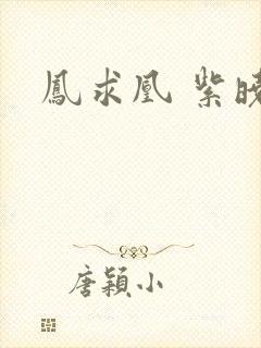 凤求凰 紫晓