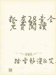 抓灰28章全部免费阅读