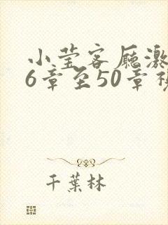 小莹客厅激情46章至50章视