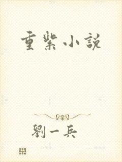 重紫小说