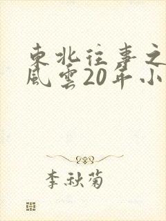 东北往事之黑道风云20年小说