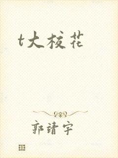 t大校花