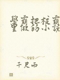学霸把校霸往死里做的小说封面