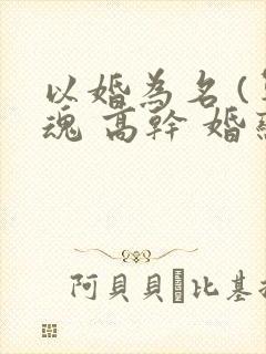 以婚为名 (军魂 高干 婚恋)
