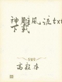神雕风流txt下载封面