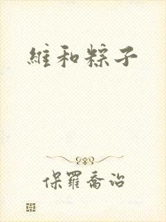 维和粽子