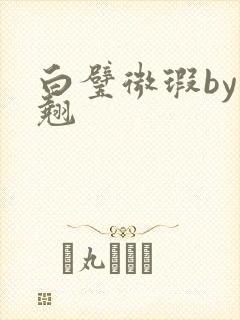 白璧微瑕by连翘