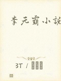 李元霸小说