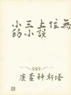 小三上位无三观的小说