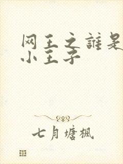 网王之谁是我的小王子封面