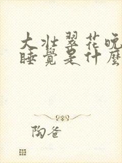 大壮翠花晚上不睡觉是什么电视剧