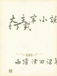 大主宰小说txt下载