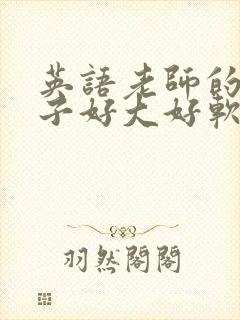 英语老师的小兔子好大好软水