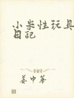 小米性玩具羞辱日记