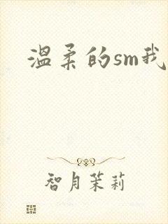 温柔的sm我
