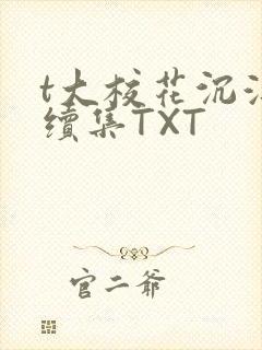 t大校花沉浮录续集TXT