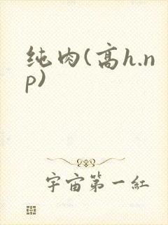 纯肉(高h.np)