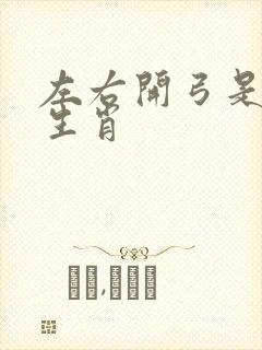 左右开弓是什么生肖封面