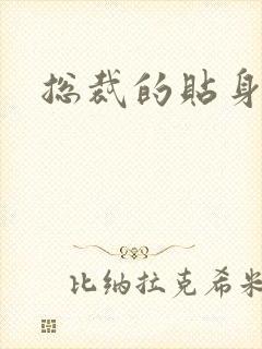 总裁的贴身女佣