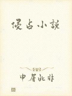 侵占小说