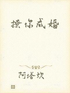 撩你成婚封面
