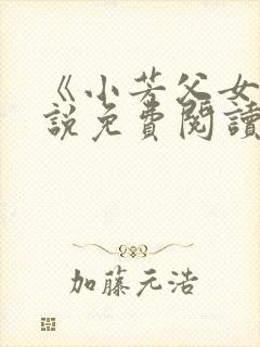 《小芳父女》小说免费阅读封面
