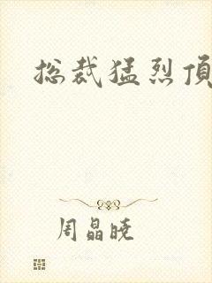 总裁猛烈顶弄h