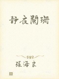 静夜阑珊封面