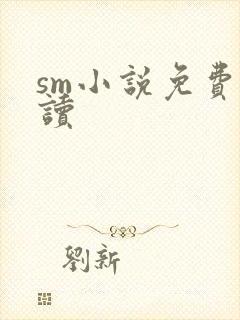 sm小说免费阅读