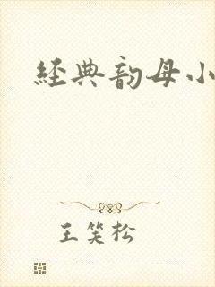 经典韵母小说