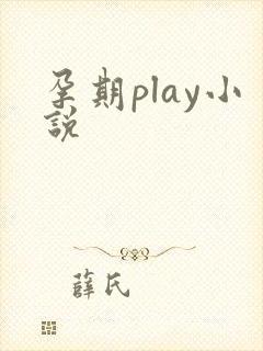 孕期play小说