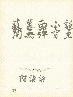 苏慕白小说笔趣阁无弹窗免费阅读封面