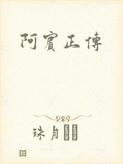 阿宾正传封面