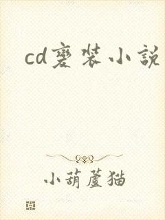 cd变装小说