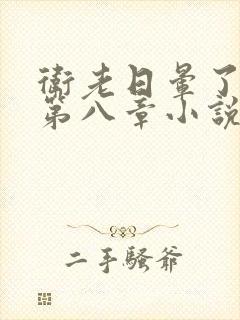 卫老日晕了淑蓉第八章小说封面
