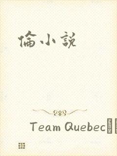 伦小说
