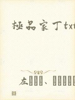 极品家丁txt