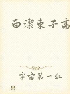 白洁东子高义封面
