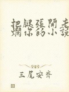 把腿张开老子臊烂你的小说