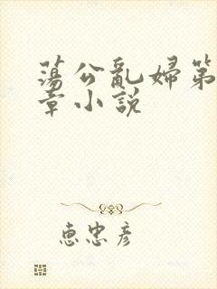 荡公乱妇第51章小说封面