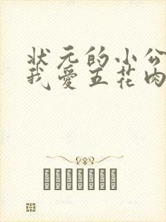 状元的小公主(我爱五花肉)封面