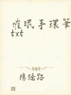 催眠手环笔趣阁txt