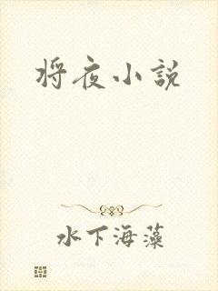 将夜小说