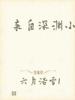 来自深渊小说