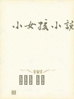 小女孩小说封面