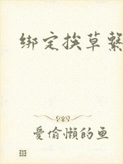 绑定挨草系统后