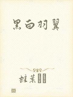 黑白羽翼