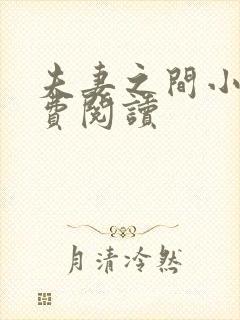 夫妻之间小说免费阅读
