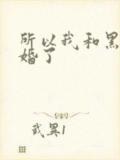 所以我和黑粉结婚了