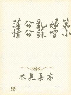 荡公乱妇第1章情公苏雪小说封面